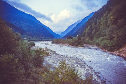 PANCAVIAR Sturgeon Farm: A Commitment to Purity, Sustainability, and World-Class Caviar