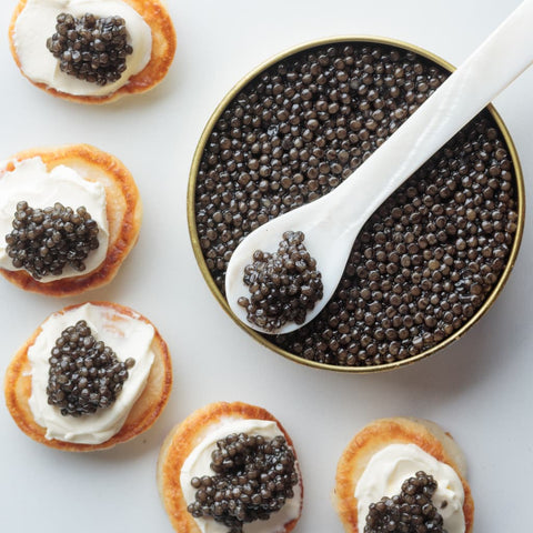 Osetra Caviar