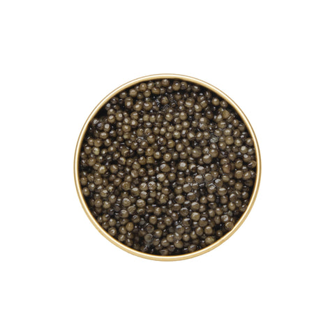 Classic Osetra Caviar