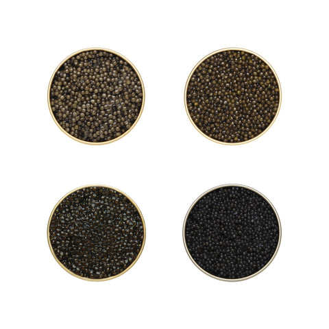 Classic Osetra, Kaluga Hybrid, Siberian Sturgeon & Hackleback Caviar Tasting Set (4 x 1.76 oz)
