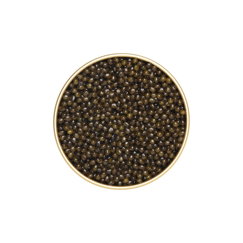 Kaluga Hybrid Caviar