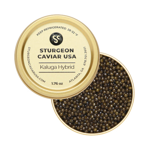 Kaluga Hybrid Caviar